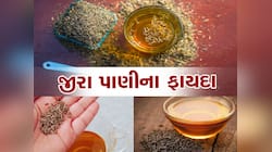 Weight Loss Tips: બોડી ફેટ ઘટાડવા માટે પીઓ આ મેજીકલ ડ્રિન્ક, ફિગર બની જશે શાનદાર