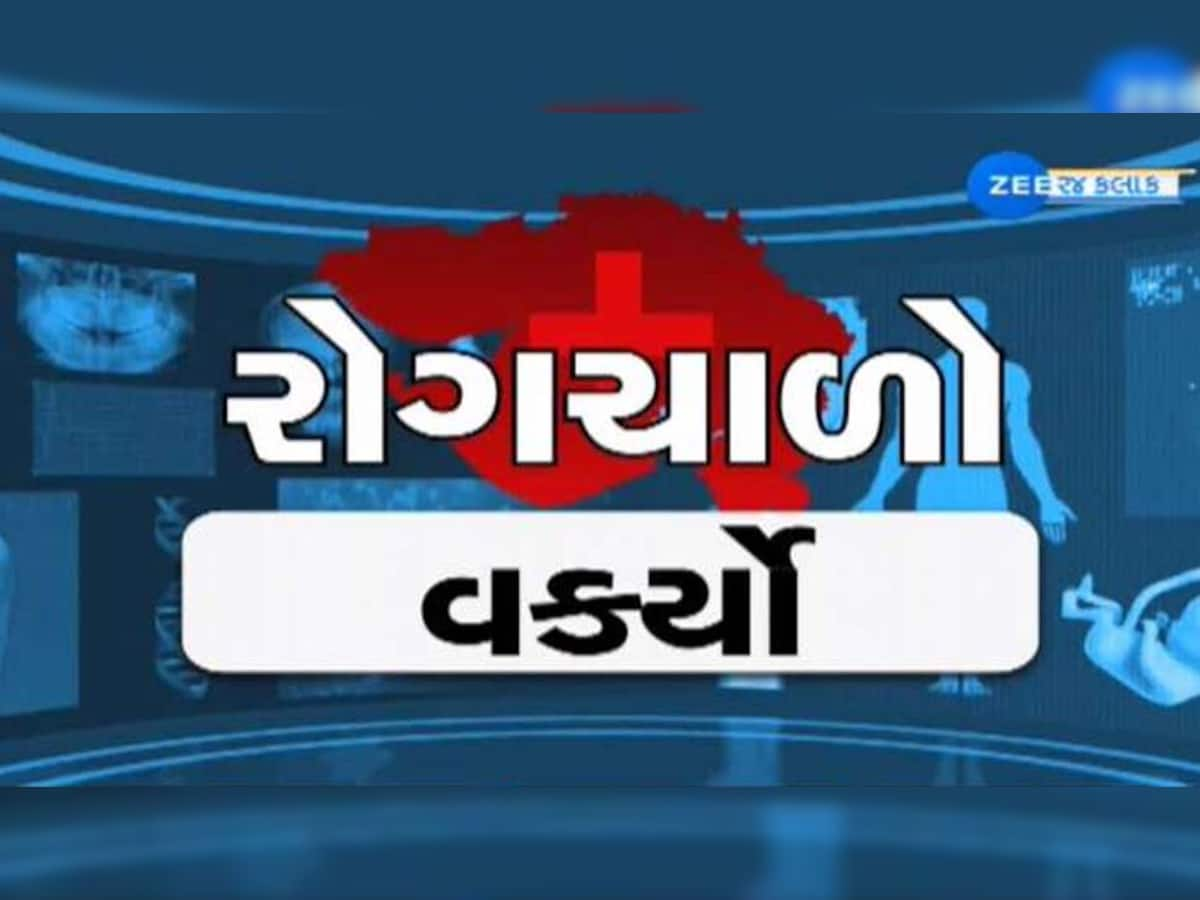 આ શહેરમાં મલેરિયાથી 43 વર્ષીય મહિલાનું મોત, 15 દિવસમાં રોગચાળાના આતંકથી 12 લોકોના મોત