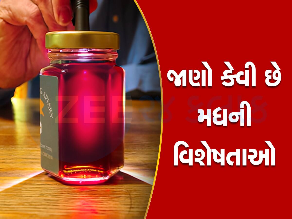 Red Honey: દારૂથી પણ વધુ નશો કરે છે લાલ મધ, દુનિયાભરમાં ખૂબ છે ડિમાન્ડ, ફક્ત અહીં મળે છે