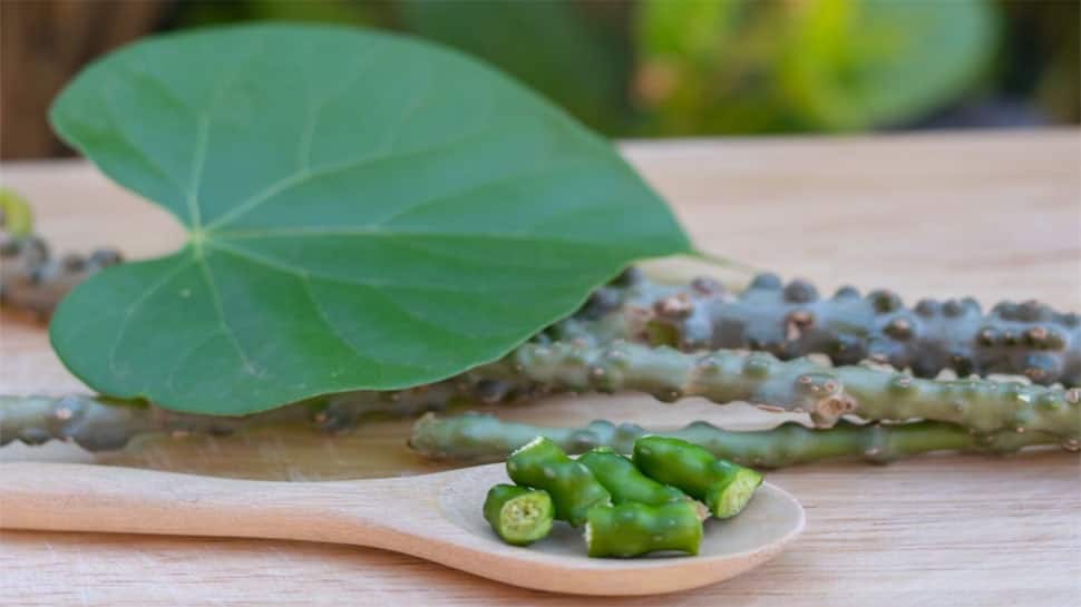 યૂરિક એસિડનો ખાતમો કરી દેશે 3 આયુર્વેદિક જડીબુટ્ટી, સાંધાના દુખાવાથી 7