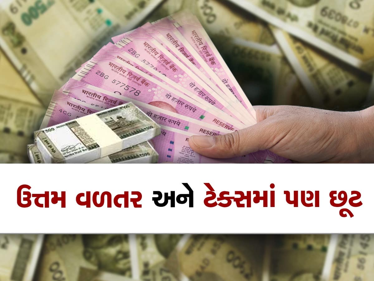 Govt Savings Schemes: આ યોજનાઓમાં કરશો રોકાણ તો રિટર્ન મળે લાખોમાં અને ટેક્સમાંથી મળશે છુટ