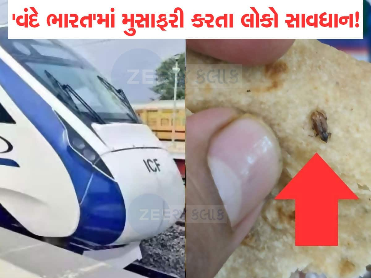 Vande Bharat Train માં મુસાફરને અપાયેલા ભોજનમાંથી આ શું નીકળ્યું? IRCTC તાબડતોબ કરી કાર્યવાહી