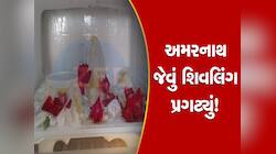 આ પાટીદાર પરિવારના ઘરમાં થયો ચમત્કાર! ફ્રિજમાં પ્રગટ થયું શિવલિંગ, ભક્તોનું ઘોડાપુર