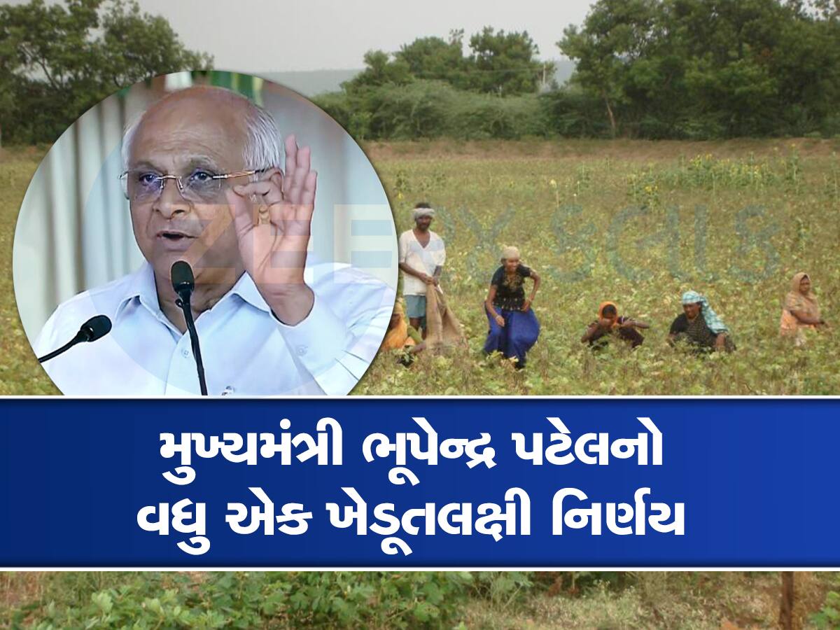 ખેડૂતોની જમીન મુદ્દે સરકારનો મોટો નિર્ણય, દૂર થયુ ગુજરાતના ખેડૂતોનું મોટું ટેન્શન