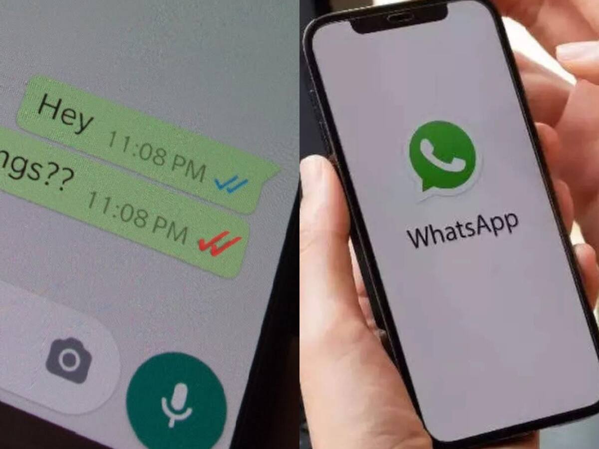 WhatsApp પર 3 ટીક એટલે તમારા મેસેજ સરકાર વાંચી રહી છે? જાણો વાયરલ મેસેજની સચ્ચાઈ