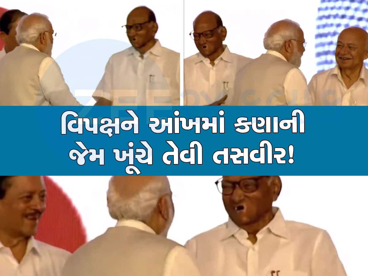 PM મોદીને મળીને ખડખડાટ હસ્યા પવાર, પીઠ પર ફેરવ્યો હાથ, 2024 પહેલા શું કહે છે આ તસવીર?