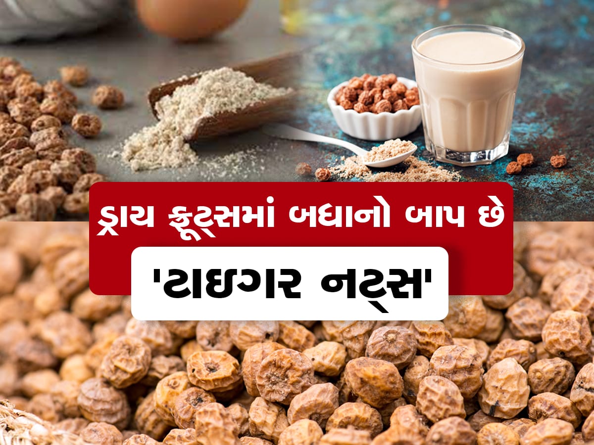 બદામ અને અખરોટથી વધુ ફાયદાકારક છે ટાઇગર નટ્સ.. જાણો તેને ખાવાના 7 અનોખા ફાયદા