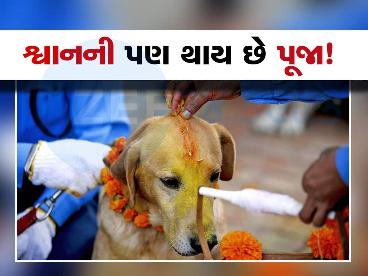 Dog Worship: કયા દેશમાં થાય છે શ્વાનની પૂજા? નામ જાણશો તો આશ્ચર્યચકિત થશો, કારણ પણ જાણો