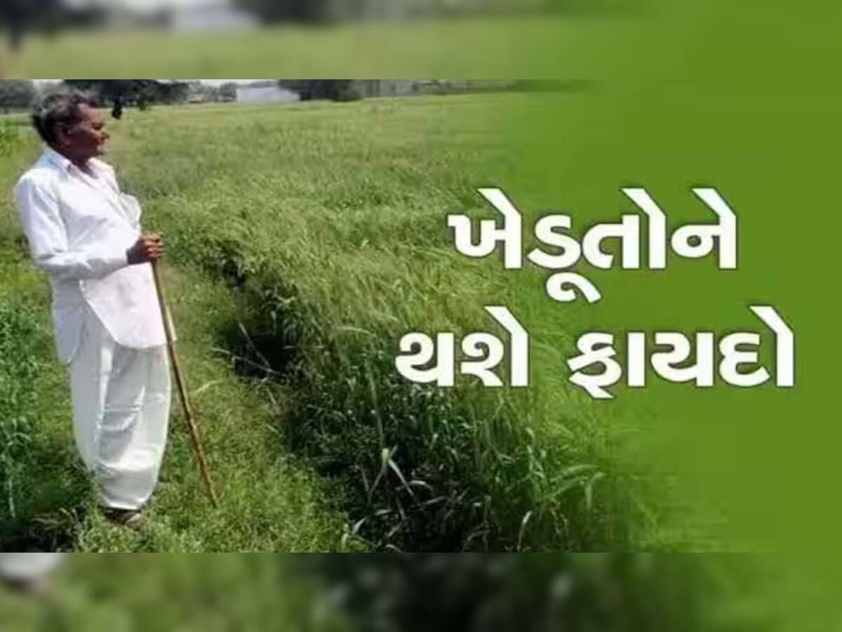 ગુજરાતના 14 જિલ્લાના ખેડૂતોને 30 કરોડની મળશે સહાય: દરેક ખેડૂતને મળશે 5400ની કીટ, જાણો કઈ રીતે મળશે લાભ