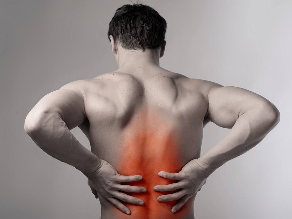 વર્ષો જૂના Back Pain કહી દો ટાટા-બાય બાય, ડેલી ડાયેટ શરૂ કરો આ 5 વસ્તુઓ