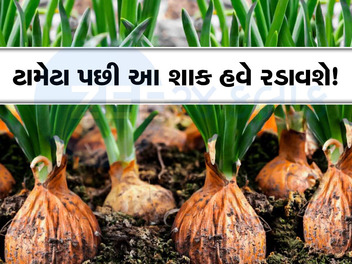 ટામેટા બાદ હવે આ શાકના ભાવ ઉછળશે? લોકોએ રાતા પાણીએ રડવાનો વારો આવશે!