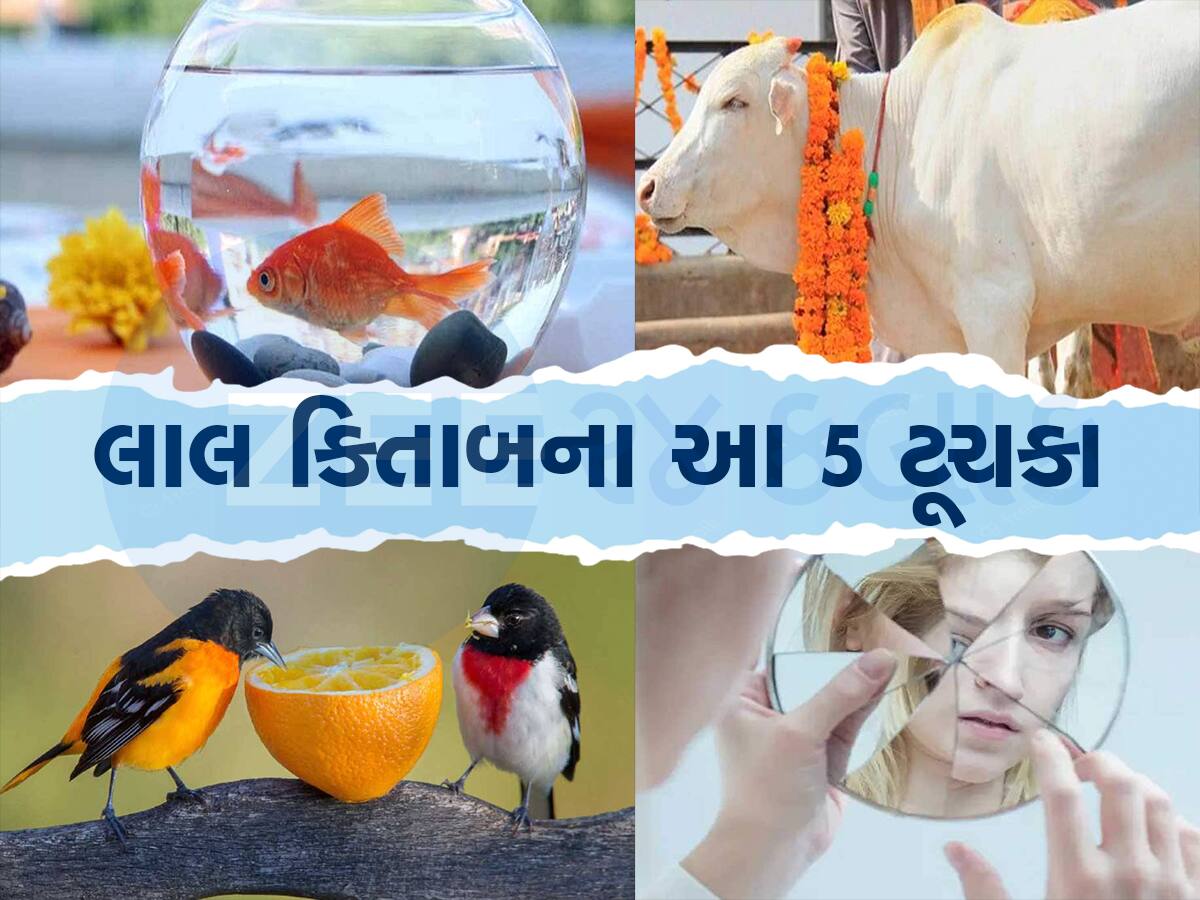 બંધ નસીબના તાળા ખોલવા હોય તો અપનાવો આ યુક્તિઓ, ધનથી તિજોરી છલકાશે 