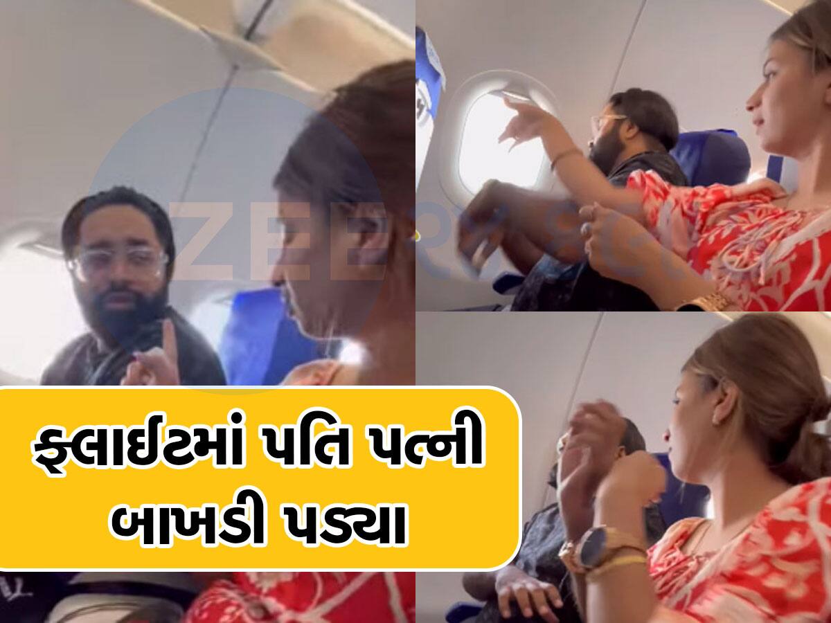 Viral Video: હાય લા! પતિ અને પત્ની ફ્લાઈટમાં ઝઘડી પડ્યા, પત્નીએ પતિને મારવા માટે હાથ પણ ઉઠાવ્યો અને પછી...