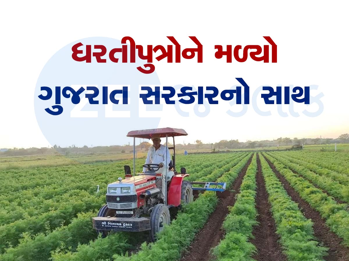 ખેડૂતોની સરકાર : ગુજરાત સરકારે ફરી એકવાર સાબિત કર્યું કે, તે ખેડૂતોની પડખે ઉભી છે 