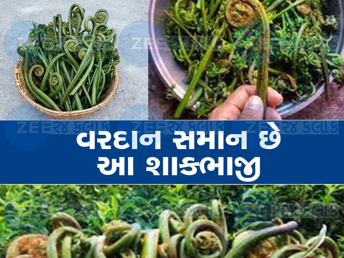 દુનિયાની સૌથી તાકતવર શાકભાજીઓમાં સામેલ છે આ પહાડી શાકભાજી, અનેક બિમારીઓને કરે છે બાય બાય!