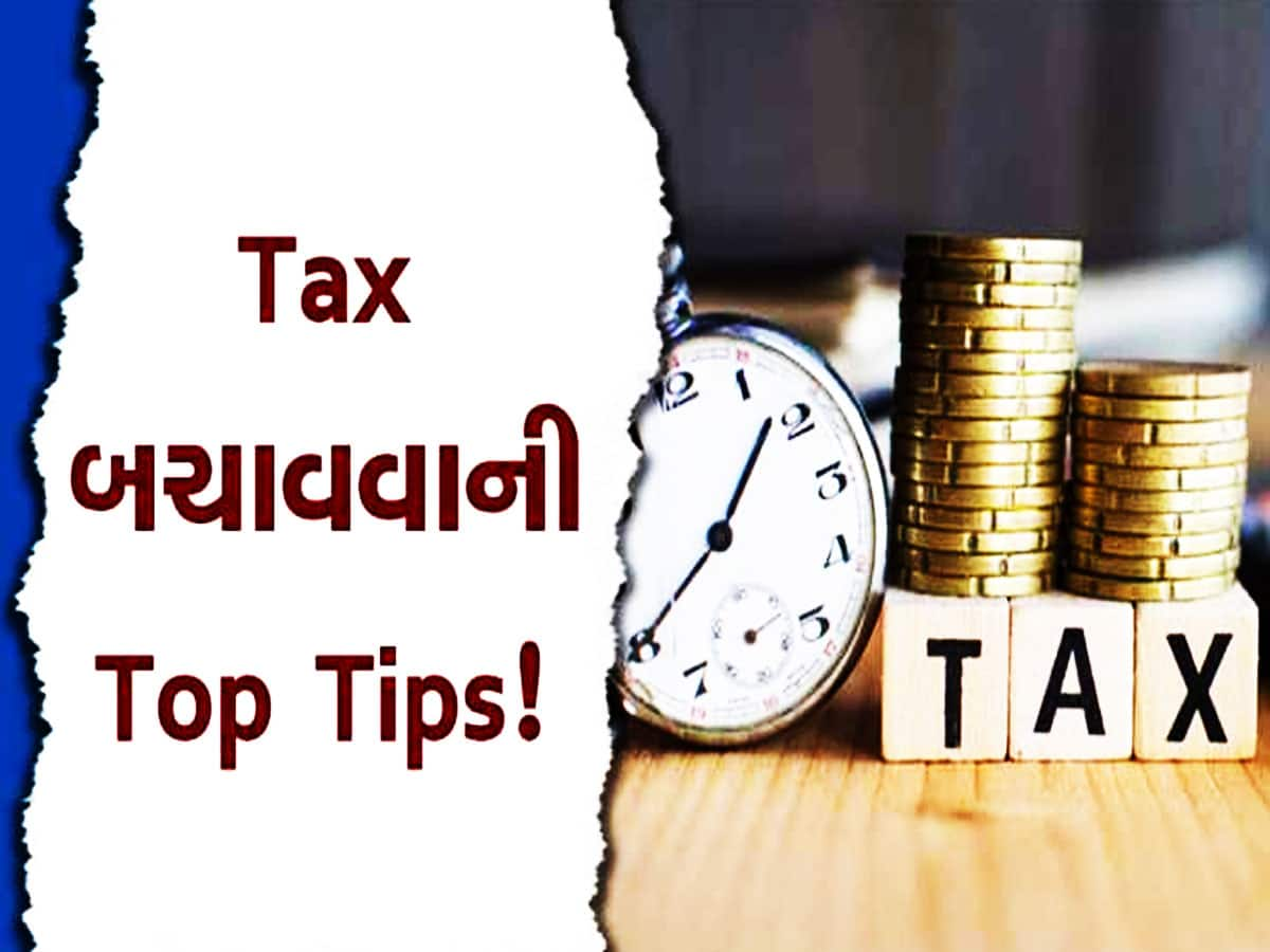 Income Tax: પગારદારો આટલું કરશો તો આવતા વર્ષે નહીં ભરવો પડે ઈનકમ ટેક્સ!