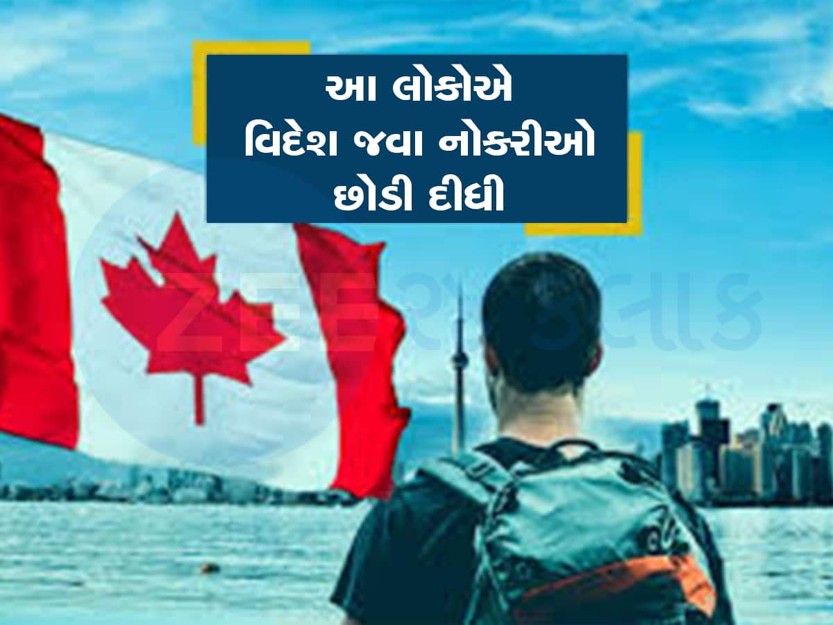 કેનેડા જઈને આવું પણ થાય છે, 500 વિદ્યાર્થીઓનું ભવિષ્ય લટકી ગયું, હવે ના ઘરના ના ઘાટના