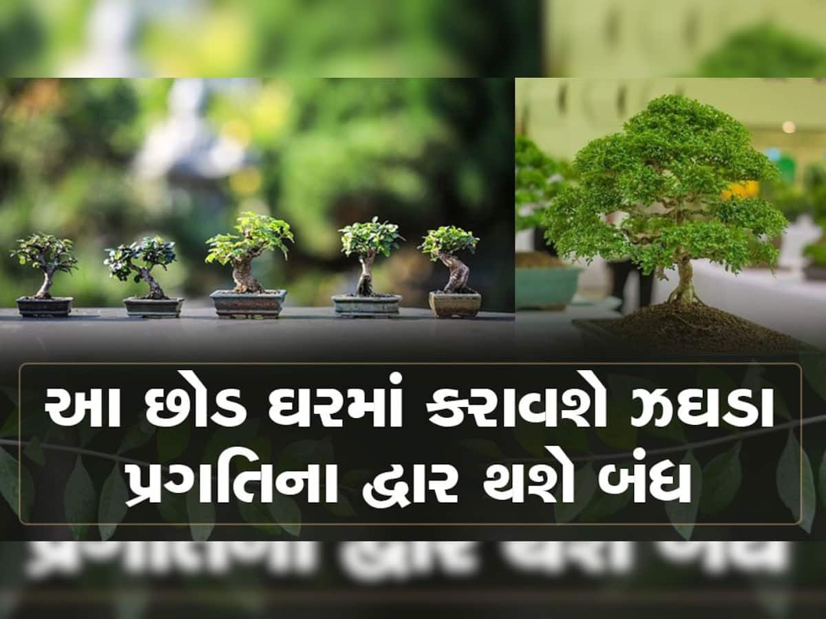 Vastu Tips: ભૂલથી પણ ઘરમાં ન વાવતા આ છોડ, નહીં તો દિવસ-રાત થશે ઝઘડો અને કકળાટ