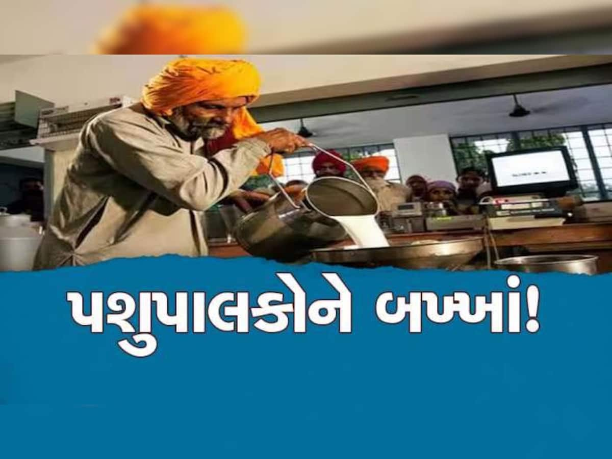 પશુપાલકોના હિતમાં પંચામૃત ડેરીનો મહત્વનો નિર્ણય; જાણો 3 લાખથી વધુ લોકોને શું થશે ફાયદો?