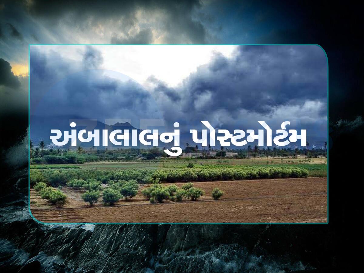 કેમ ગુજરાતમાં ચોમાસું નબળું પડ્યું? શું ફરી એક્ટિવ થશે! જાણો શું કહે છે અંબાલાલ પટેલ અને હવામાન વિભાગ?