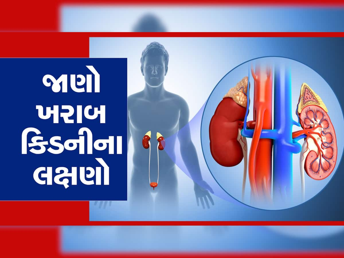 Kidney Disease: શરીરના આ 3 ફેરફાર જણાવે છે કિડની થઈ છે ડેમેજ, આમાંથી એક પણ દેખાય તો તુરંત કરજો ડોક્ટરનો સંપર્ક