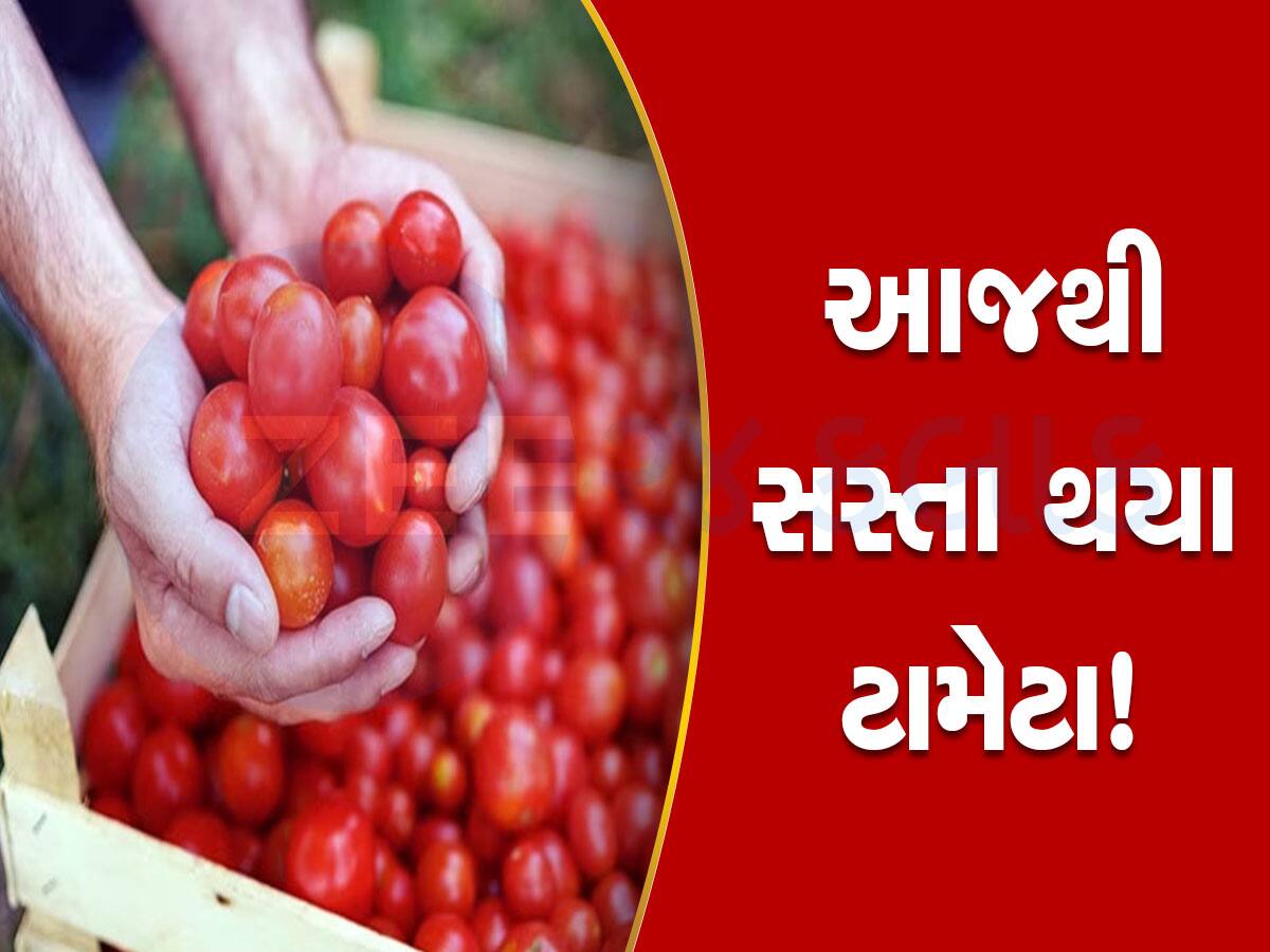 Tomato New Price: મોંઘાદાટ ટામેટાથી મળશે છૂટકારો! સરકારે ટામેટાના ભાવમાં કર્યો ઘટાડો, જાણો નવો ભાવ