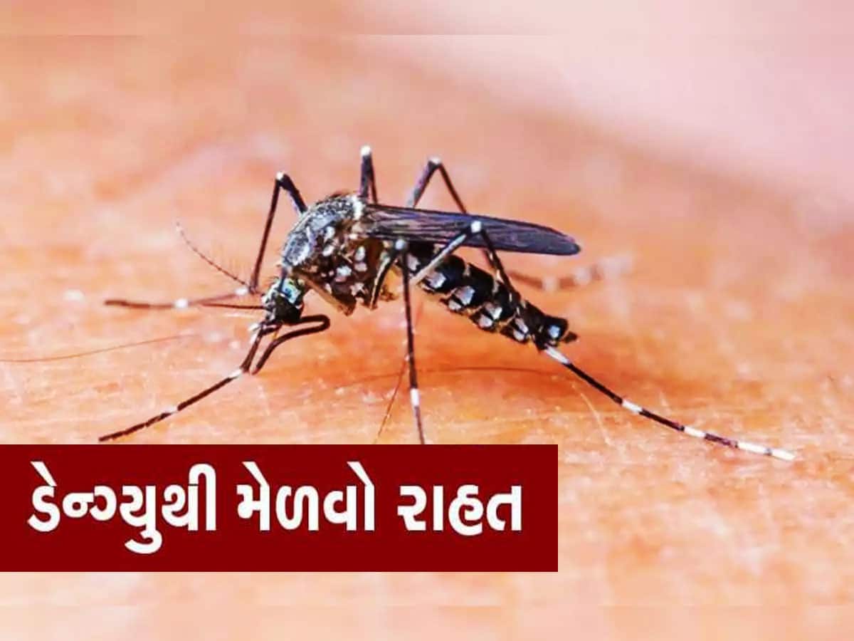 Dengue: તમને અને તમારા પરિવારને આ રીતે ડેન્ગ્યુથી બચાવો, જાણો શું કહે છે નિષ્ણાતો