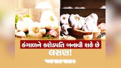 એક લસણનો ગાંઠિયો બદલી નાંખશે તમારી કિસ્મતના સિતારા! વિશ્વાસના થતો હોય તો જાણો આ વાત