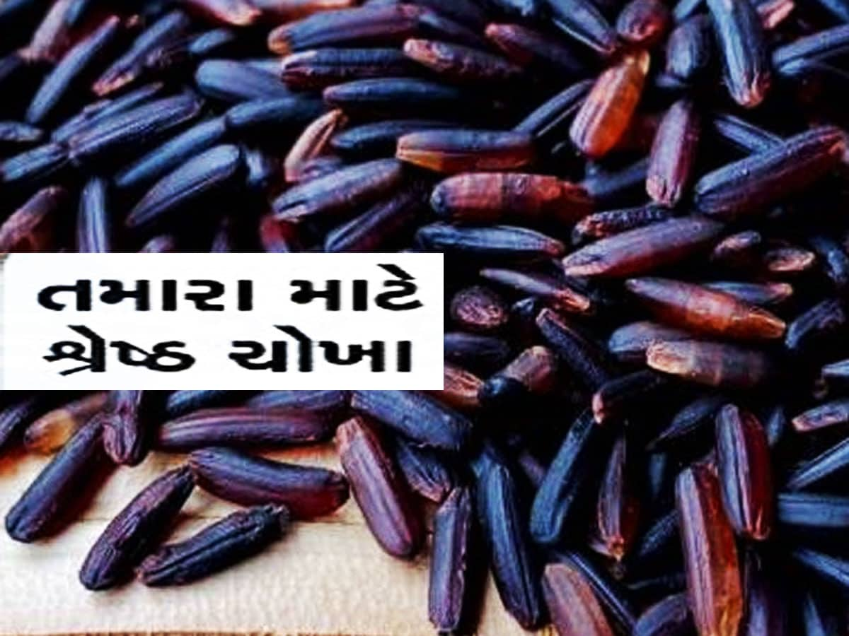 ચોખાનો આ ઉપાય કરશો તો ચમકી જશે તમારું નસીબ, શું તમે ચોખા વિશે આ વાત જાણો છો?