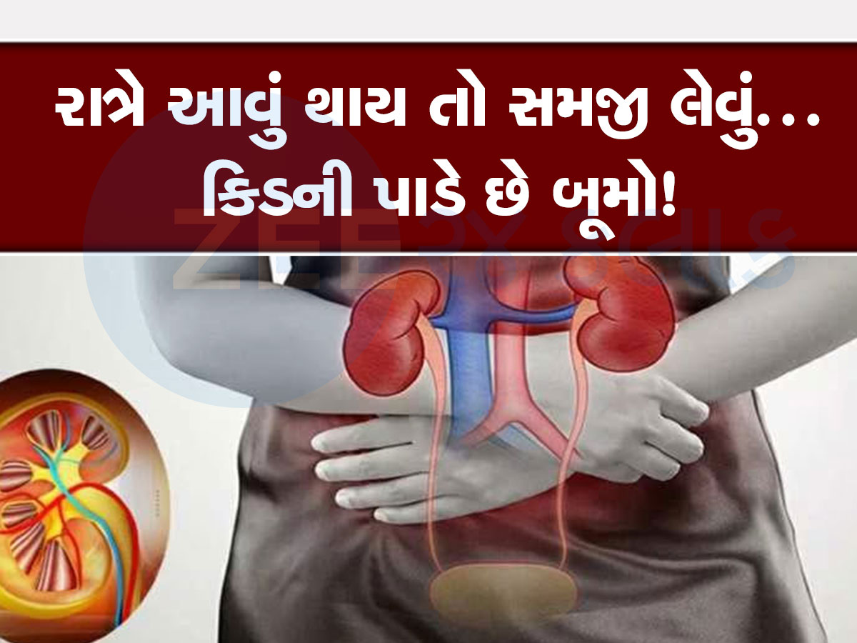 Kidney Disease Symptoms Kharab Kidney Na Lakshano Early Signs Of Damage kidney-disease-symptoms-kharab-kidney-na-lakshano-early-signs-of-damage