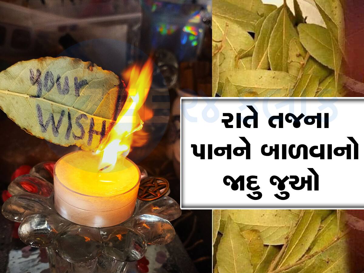 જાદુ જોવો હોય તો રાતે તજના પાન બાળો, તમારા રોમ રોમમાં સળવળાટ થઈ જશે