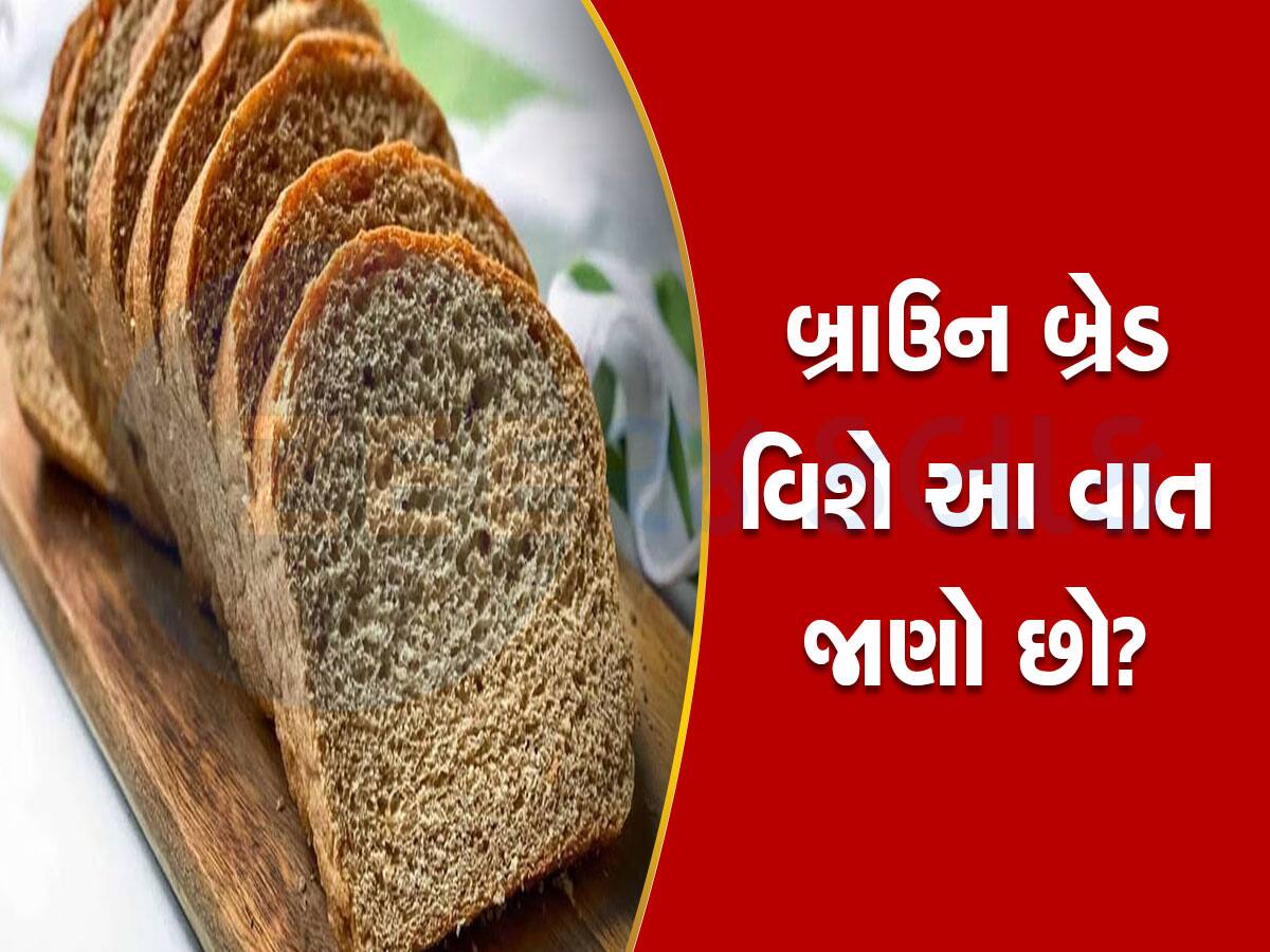 Brown Bread: બ્રાઉન બ્રેડ શું ખરેખર હેલ્ધી વિકલ્પ છે? ખાતા પહેલા આ બાબતો ખાસ જાણી લેજો