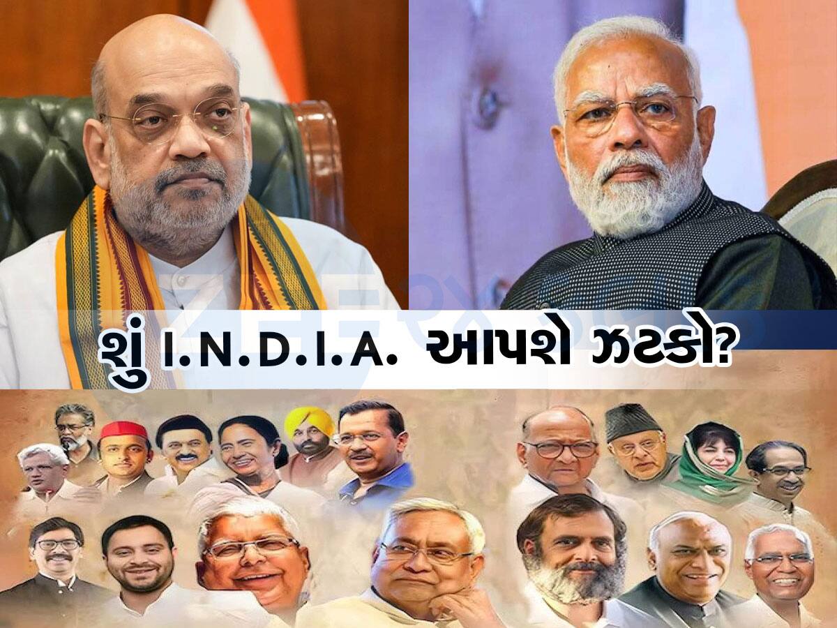 Lok Sabha Election 2024: રાજકારણ! ભાજપ માટે કહી ખુશી કહી ગમ : કોંગ્રેસ માટે ખુશખબર, બદલાયા સમીકરણો