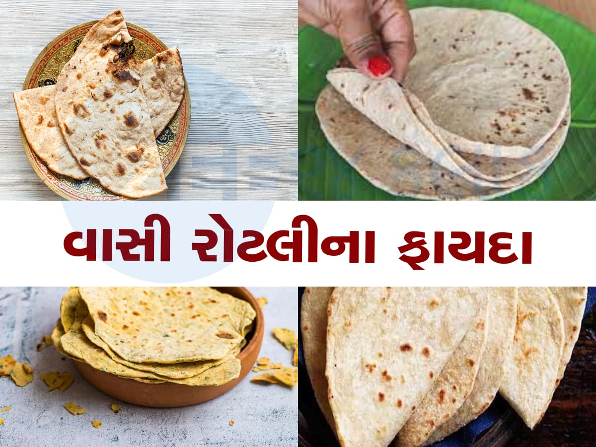 શું તમે પણ ફેંકી દો છો વાસી રોટલી? જો જો આમ ન કરતા...'સ્વાસ્થ્યનો ખજાનો છે'