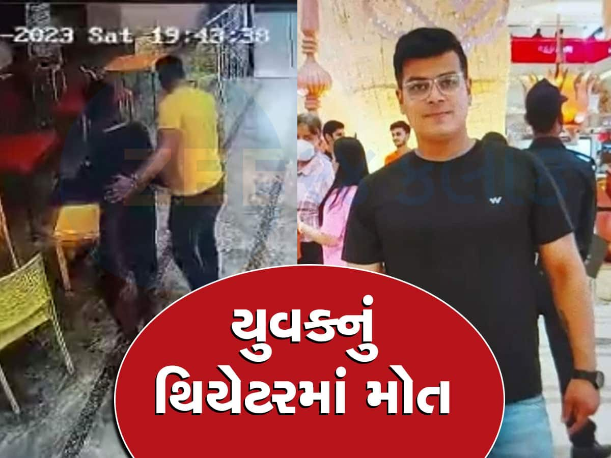 થિયેટરમાં ગદર-2 મૂવી જોવા ગયેલા યુવકને બિલ્લીપગે આવી ગયું મોત, હચમચાવી નાખે તેવો Video