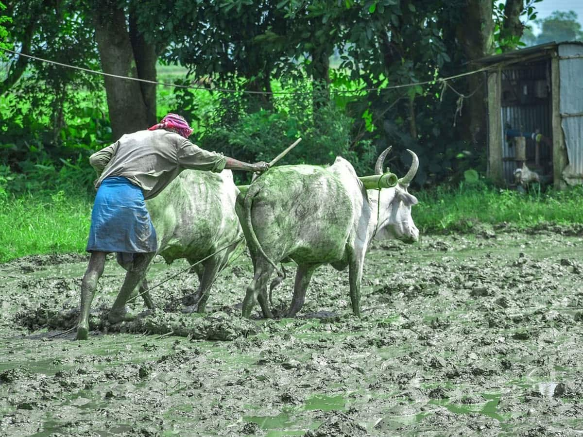 ખેડૂતો માટે સારા સમાચાર, તેમના ખાતામાં જમા થશે 12000 રૂપિયા; જાણો કોને મળશે લાભ