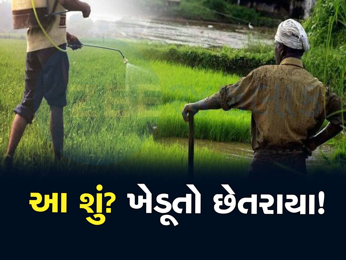 Gujarat News: લો બોલો...જગતના તાતને છેતર્યા, જંતુનાશક દવાઓમાં મોટી ગોલમાલ સામે આવી