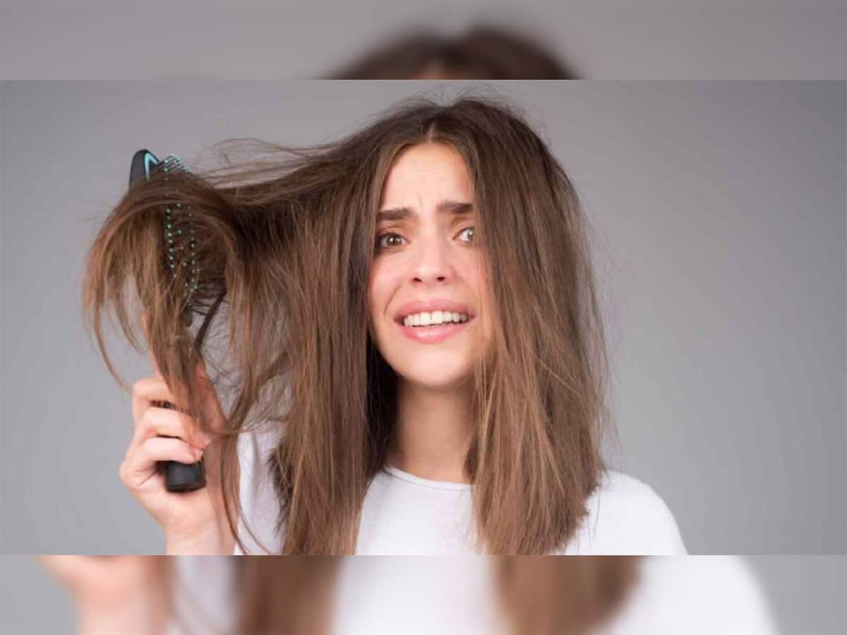Hair Care Tips: રફ અને ડ્રાય થયેલા વાળ એકવારમાં થશે સિલ્કી સોફ્ટ, ટ્રાય કરો આ 4 માંથી કોઈ એક હેર માસ્ક