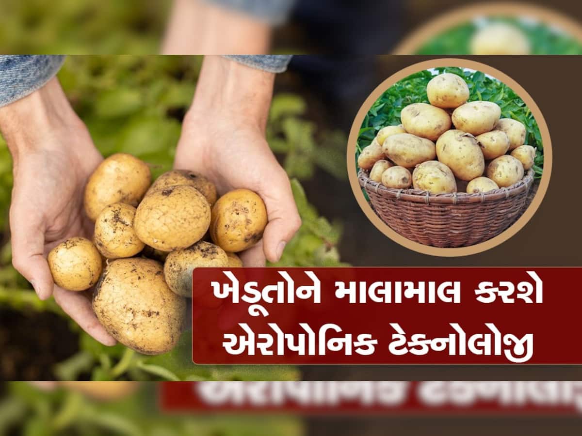 Potato Farming: વૈજ્ઞાનિકોને મળી મોટી સફળતા, હવે ખેડૂતો જમીનમાં નહી હવામાં કરશે બટાકાની ખેતી