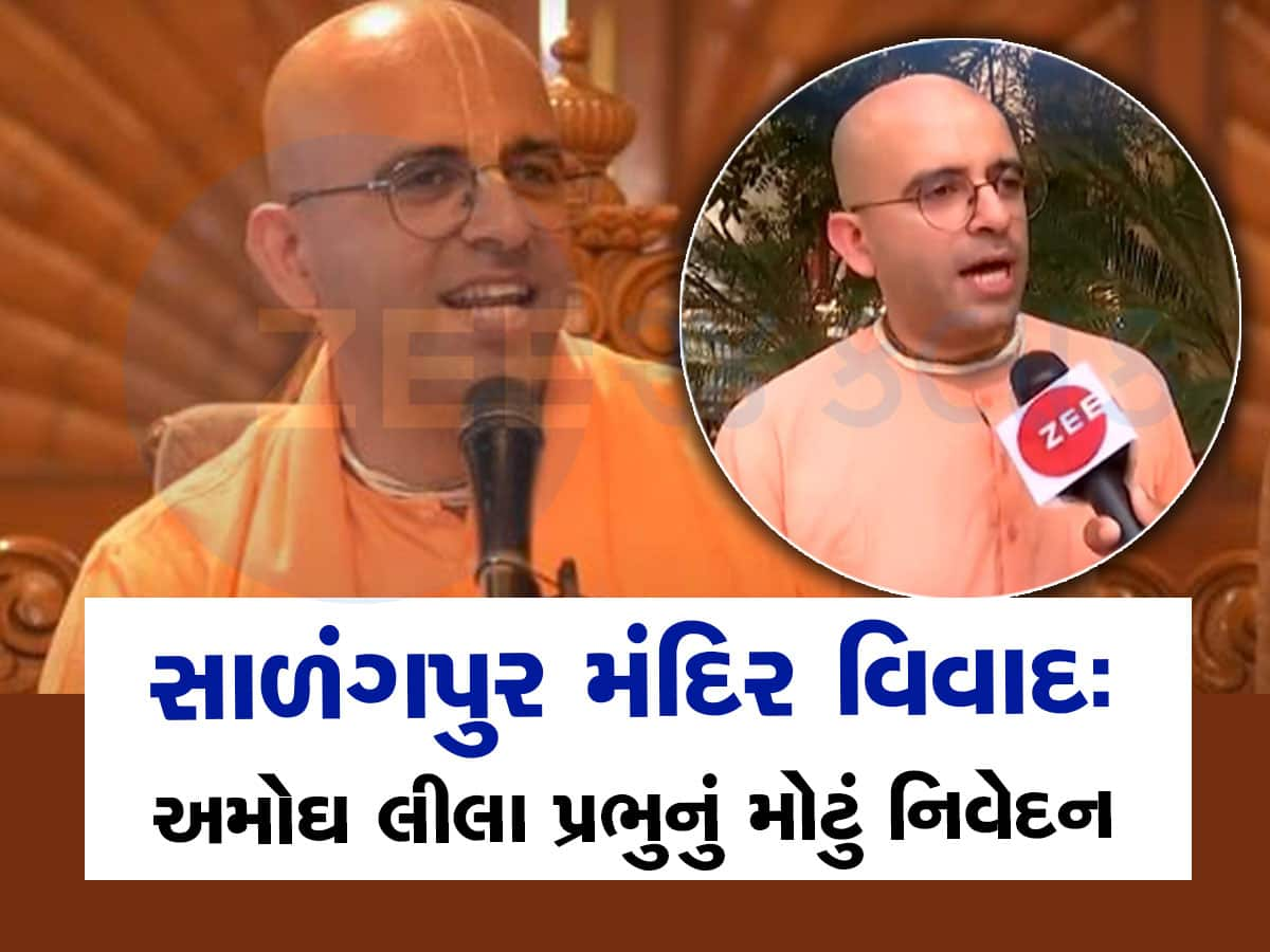 સાળંગપુર વિવાદ: 'હનુમાનજીના દિલમાં સાધુ સંતો માટે માન હતું, પણ કોણે કયા ઉદ્દેશ્યથી ચિત્ર બનાવ્યું તે મહત્વનું'