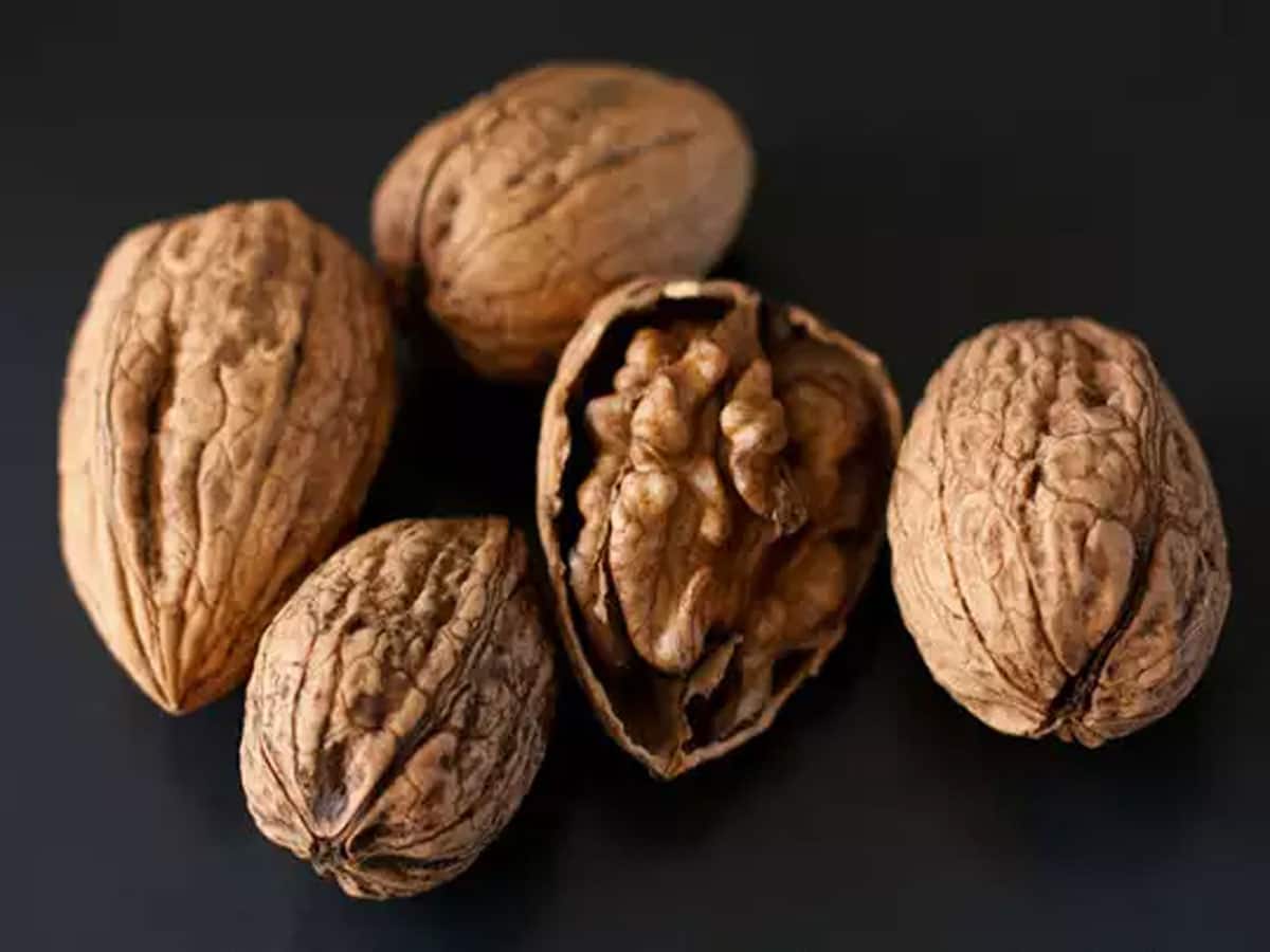 Akhrot Shell benefits of wallnut shells akhrot ke shell ke fayde
