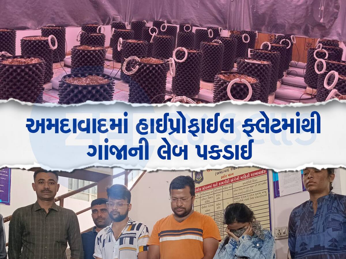 ફ્લેટમાં 96 કુંડામાં ગાંજો ઉગાડ્યો, ગુજરાતમાં 24 કલાક વીજળી મળતી હોવાથી ગાંજાના વાવેતર અમદાવાદની પસંદગી કરાઈ