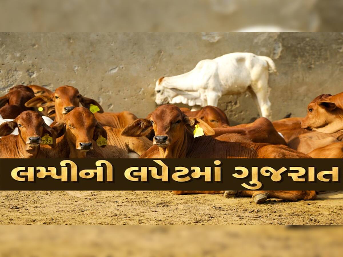 જાગૃતિ માટે અનોખો પ્રયાસ! ગુજરાતના પશુઓમાં ફેલાતા આ વાયરસ અંગે જાણો સંપૂર્ણ વિગત
