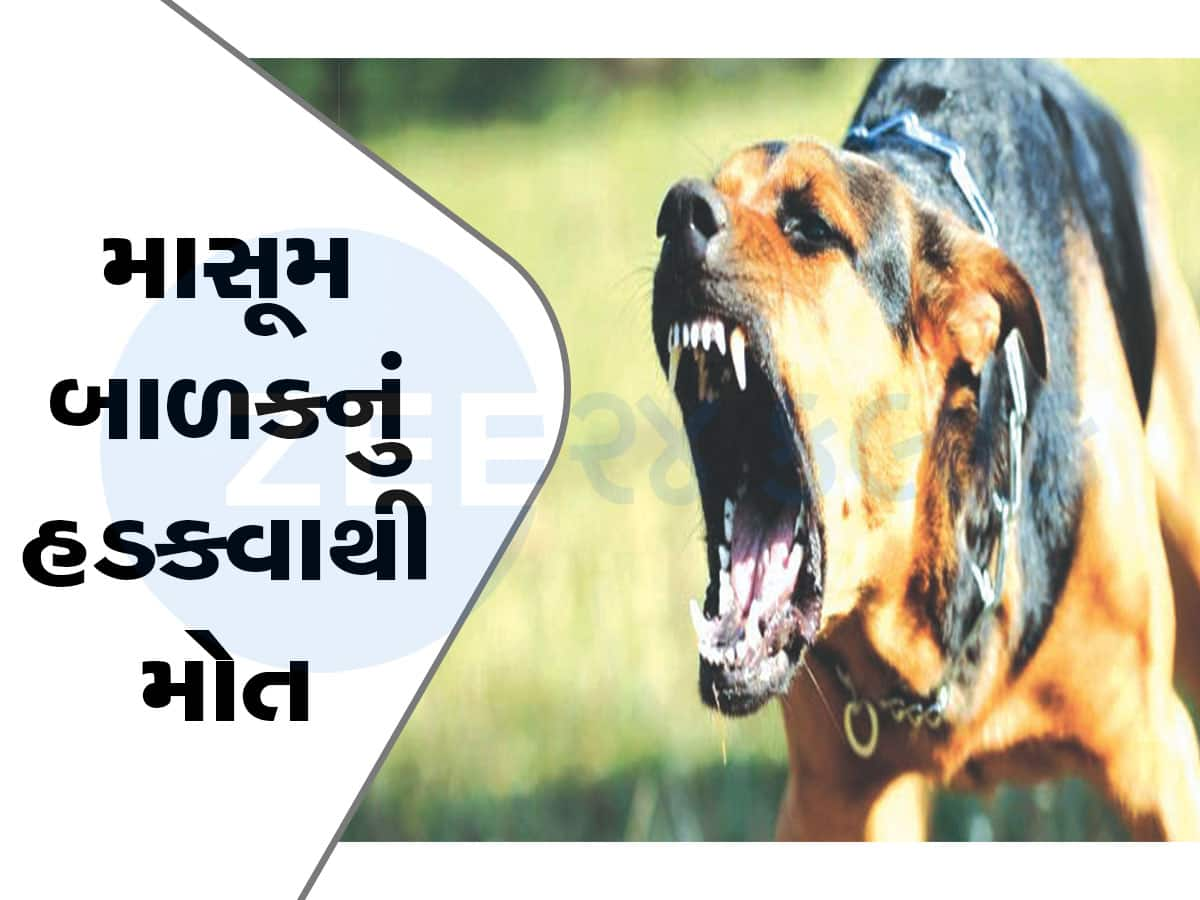 Shocking! બાળકને કૂતરું કરડ્યું પણ ઘરમાં કોઈને ખબર જ નહીં, આખરે તડપી તડપીને પિતાના ખોળામાં દમ તોડ્યો