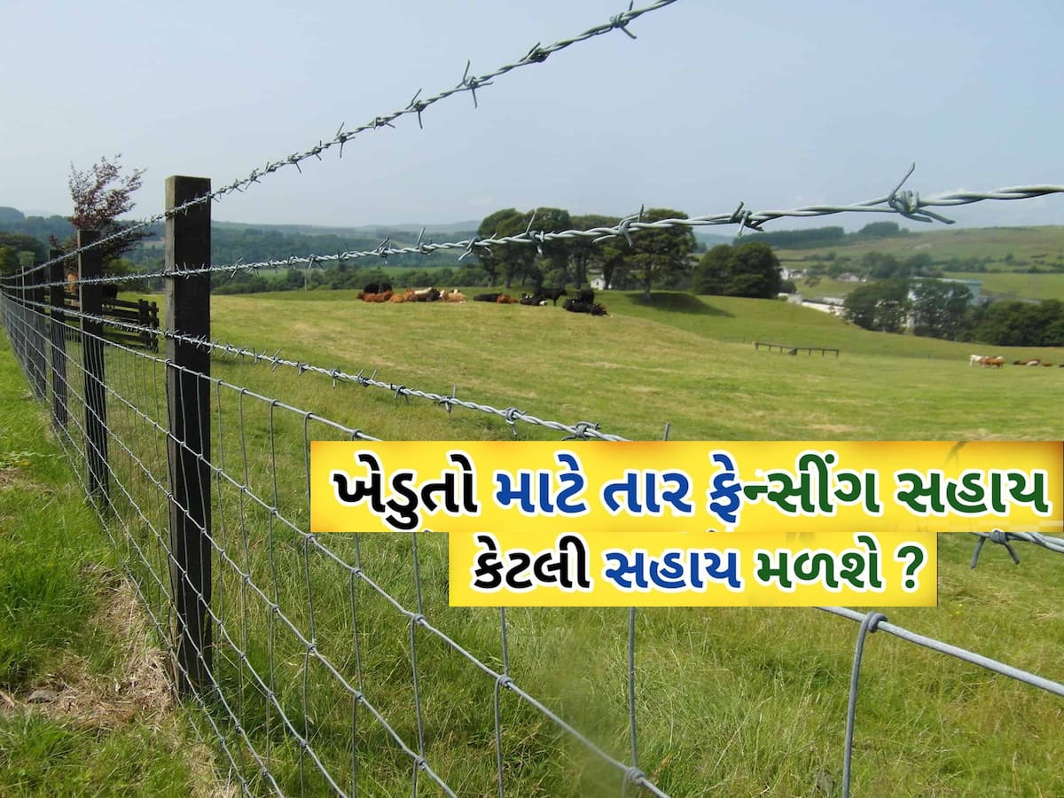 ખેતરની ફરતે તાર ફેન્સીંગ યોજના શું છે? ગુજરાતના ખેડૂતો કેવી રીતે અરજી કરી મેળવી શકે છે સહાય
