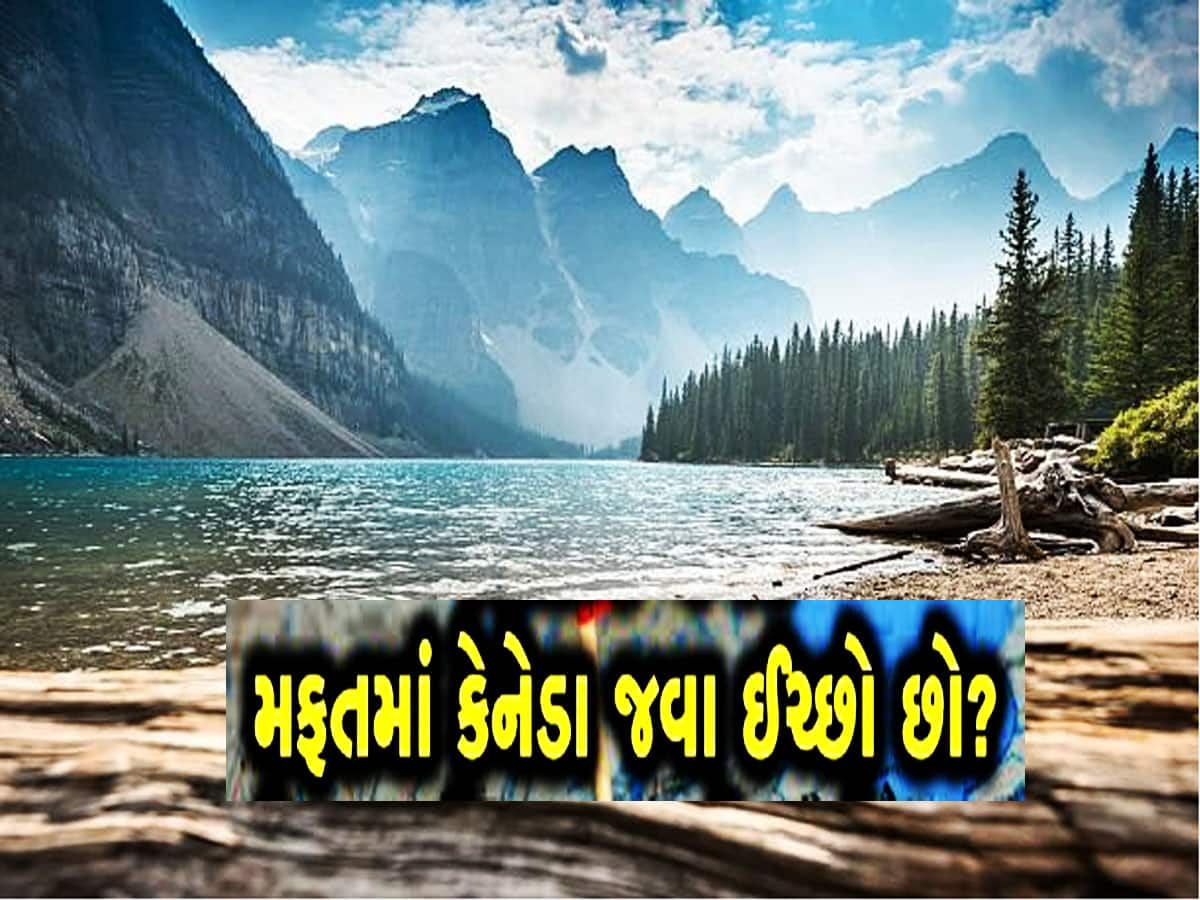 વગર પૈસે કેનેડા અને ઓસ્ટ્રેલિયા ભણવા જવું છે? આ શિષ્યવૃત્તિઓ છે શ્રેષ્ઠ, જાણો વિગતો