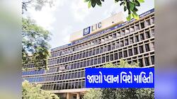LIC New Plan: એકવાર આ પોલિસી ખરીદો, પછી તમને જીવનભર મળશે 11,192 રૂપિયાનું પેન્શન