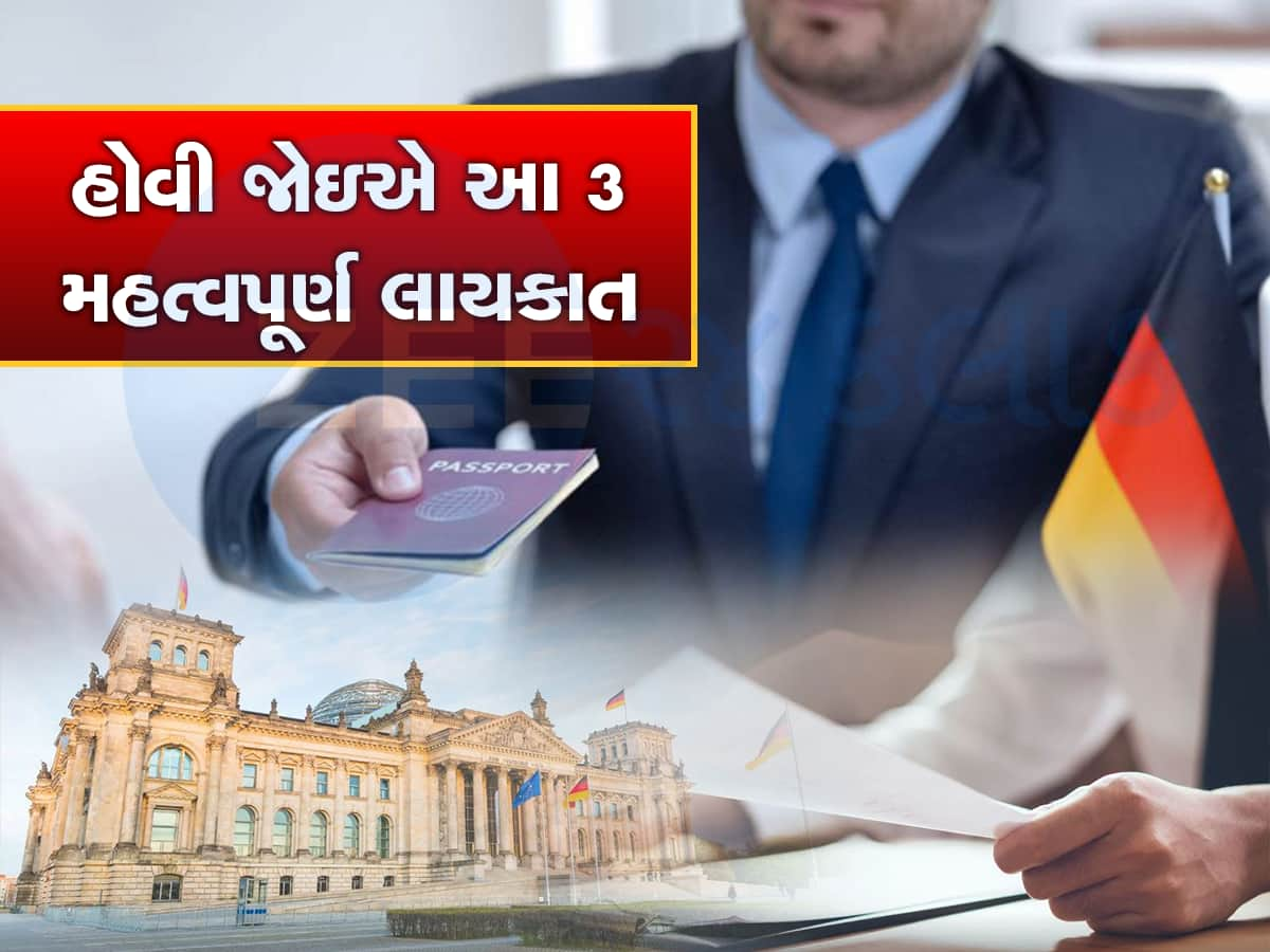 વિદેશમાં નોકરી કરવી છે અને Work Visa નથી તો આ Job Seeker Visa માટે અપ્લાય કરો, 9 મહિના સુધી નો ટેન્શન