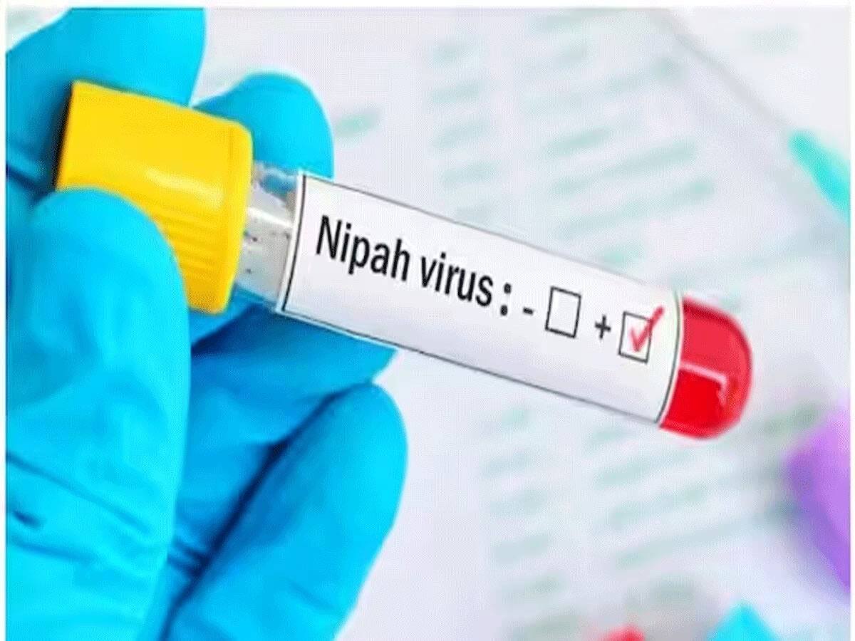 Nipah Virus: આ ઝાડથી ફેલાયો કોરોનાથી વધુ જીવલેણ નિપાહ વાયરસ? કેરળમાં મચી ગયો હડકંપ