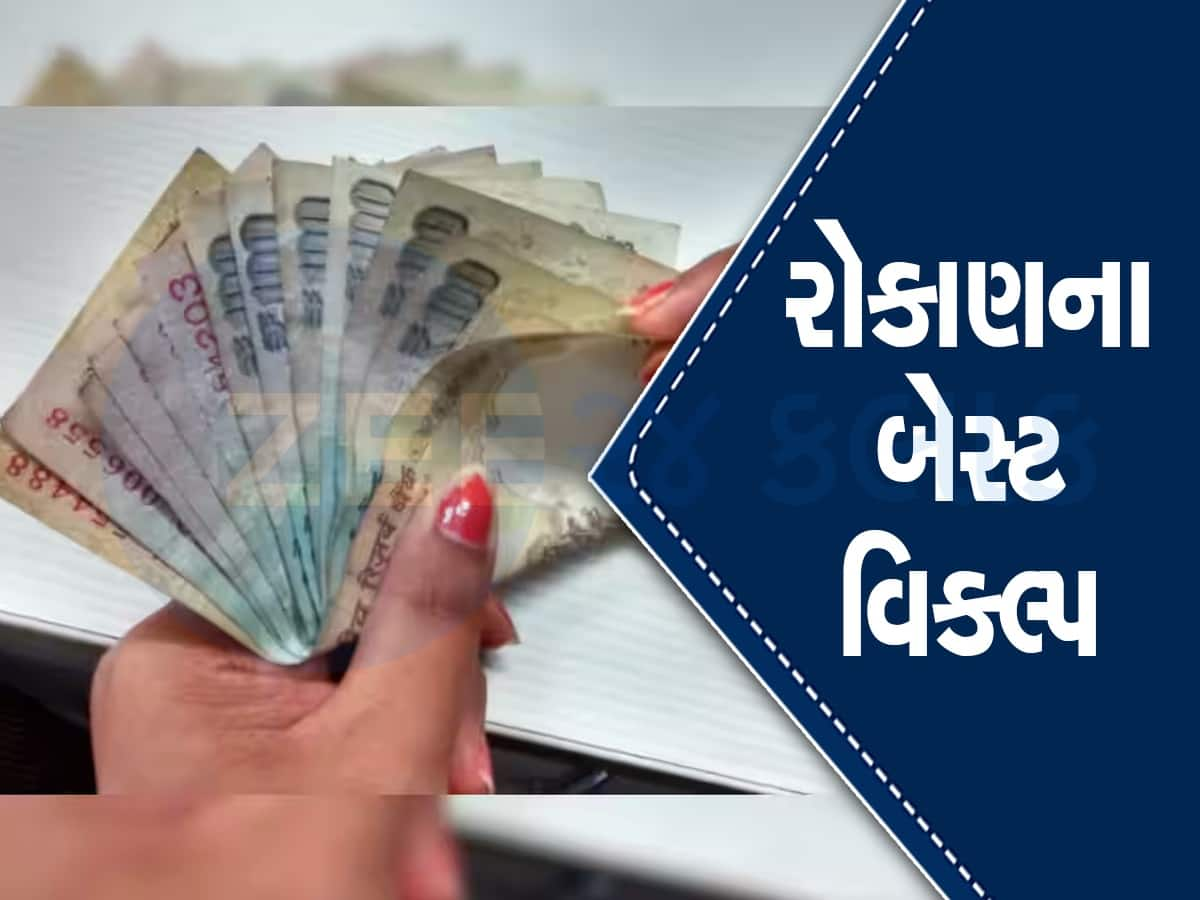 હાઉસવાઇફ માટે બેસ્ટ છે ઈન્વેસ્ટમેન્ટના આ 3 ઓપ્શન, ઓછા સમયમાં બનાવી દેશે મોટુ ફંડ